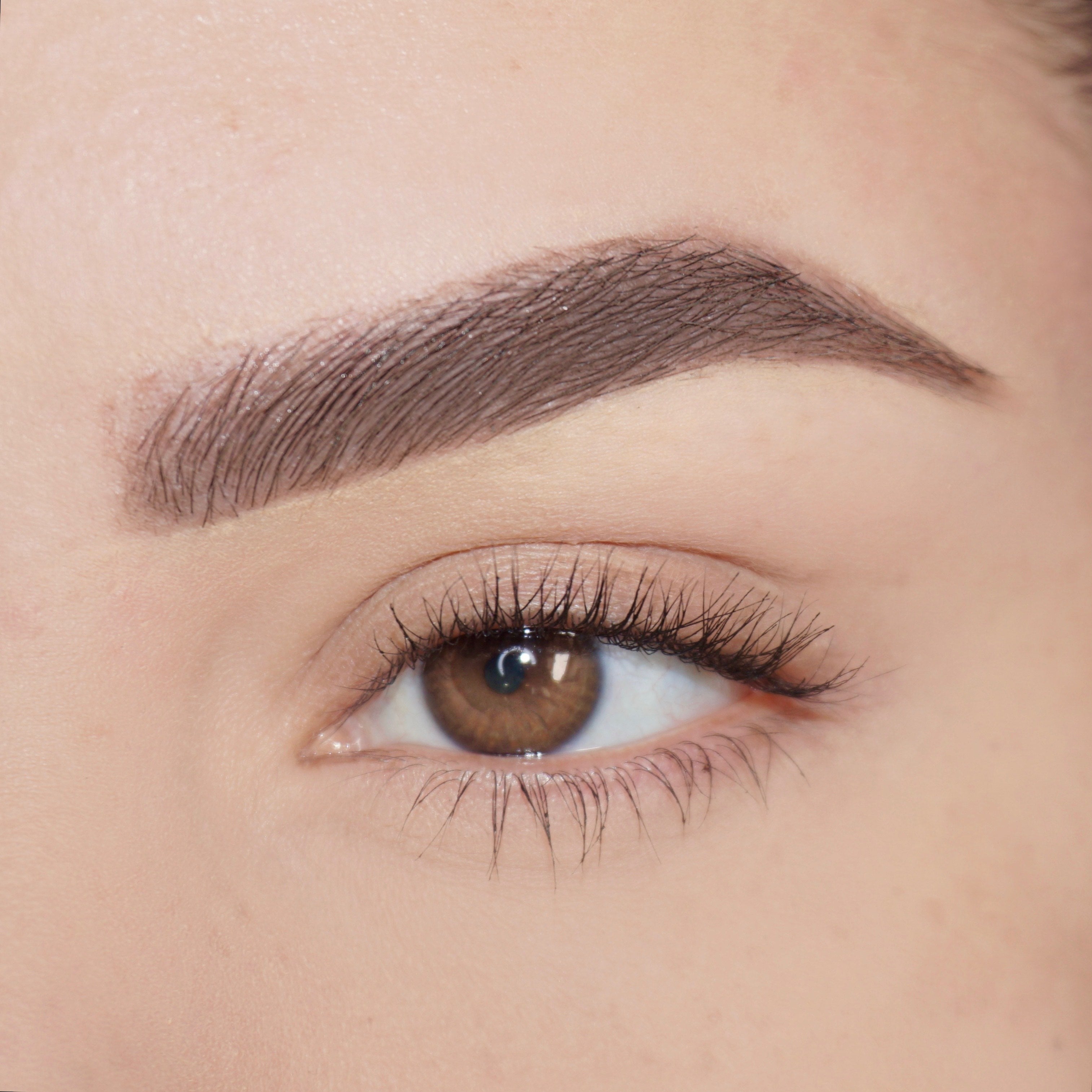 Brow'd Up Brow Pencil
